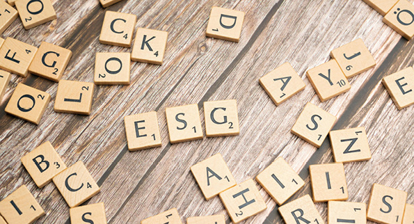 Environmental, Social and Governance