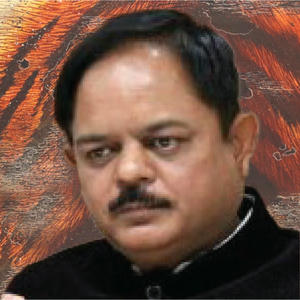 Mr Sandip Janardan Sagale