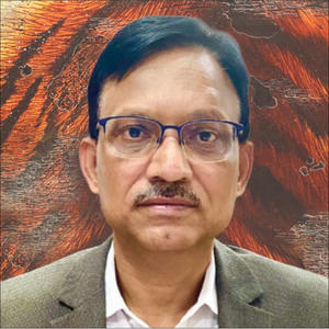 Mr Varun Kumar Mishra