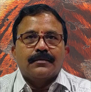 Mr S Satyanarayana