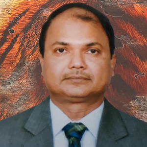 Mr Rashmi Ranjan Nayak