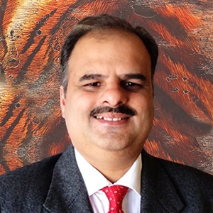 Mr Shankar Deshpande