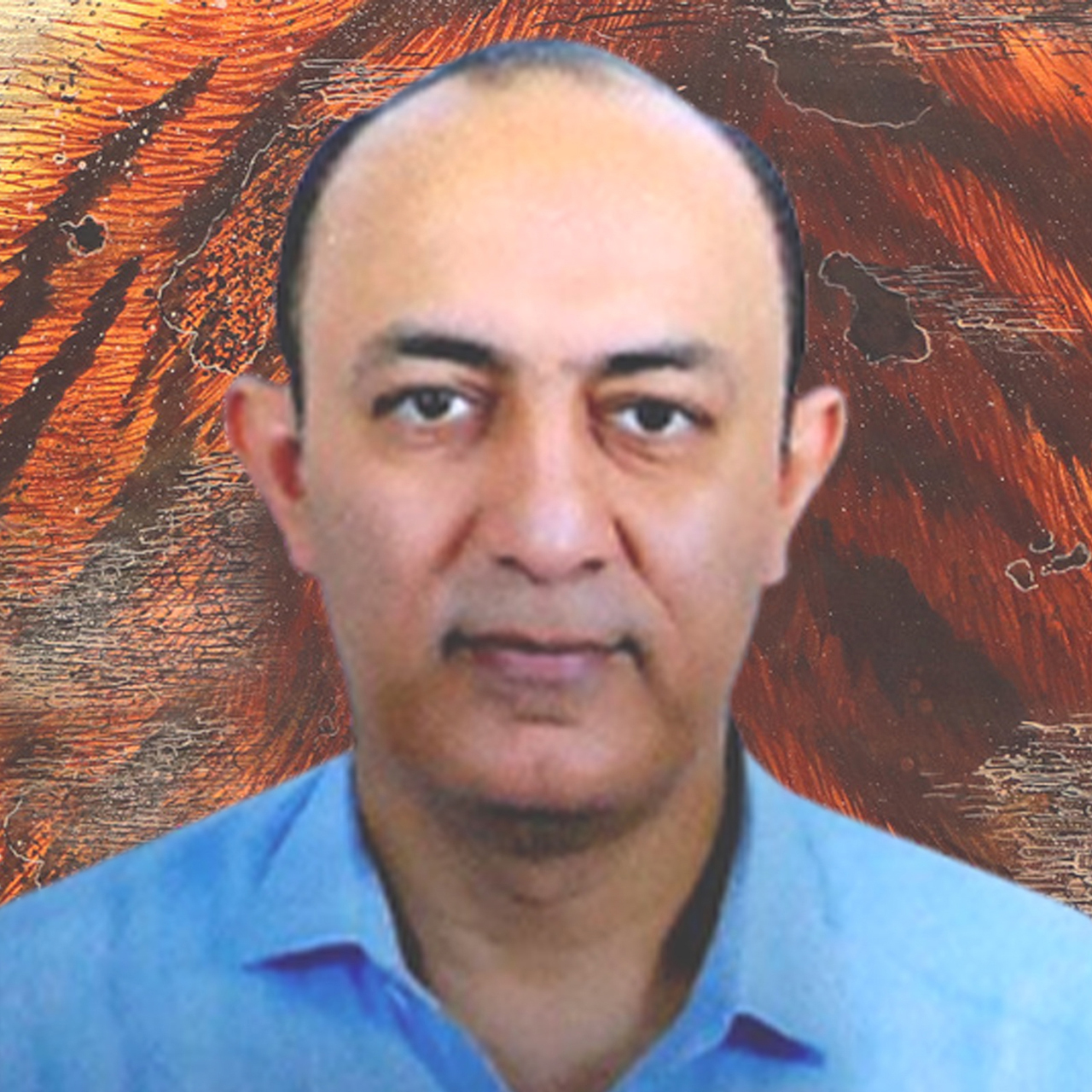 Mr Rahul Ranjan Mahiwal