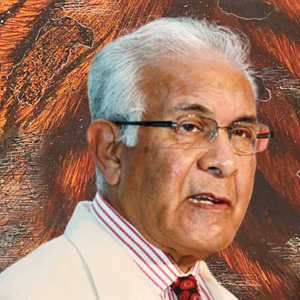 Mr Wajahat Habibullah